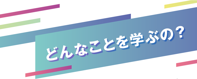 どんなことを学ぶの?